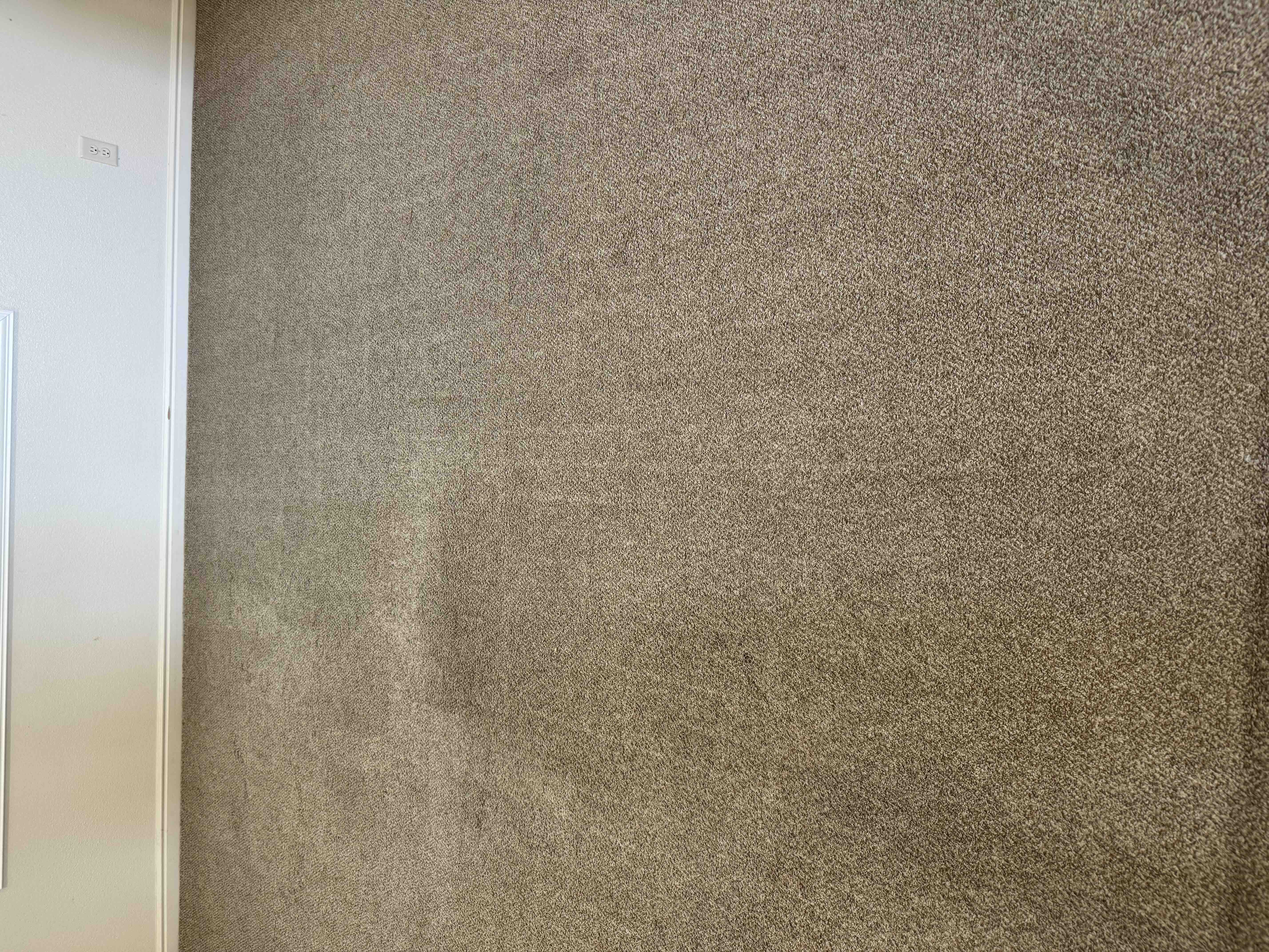 Downtown St George Restoration Carpet Cleaning