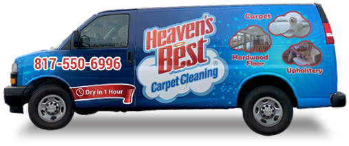 Carpet Cleaning Rug Cleaning